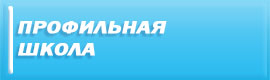 Профильная школа